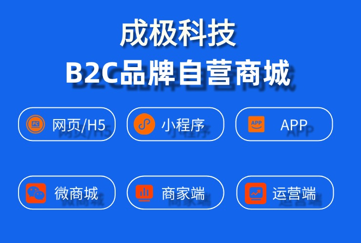 B2C品牌自营商城：开启消费新时代