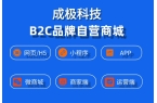 B2C品牌自营商城：开启消费新时代